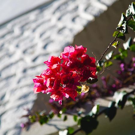 Hotel Karia Princess Bodrum Exterior foto