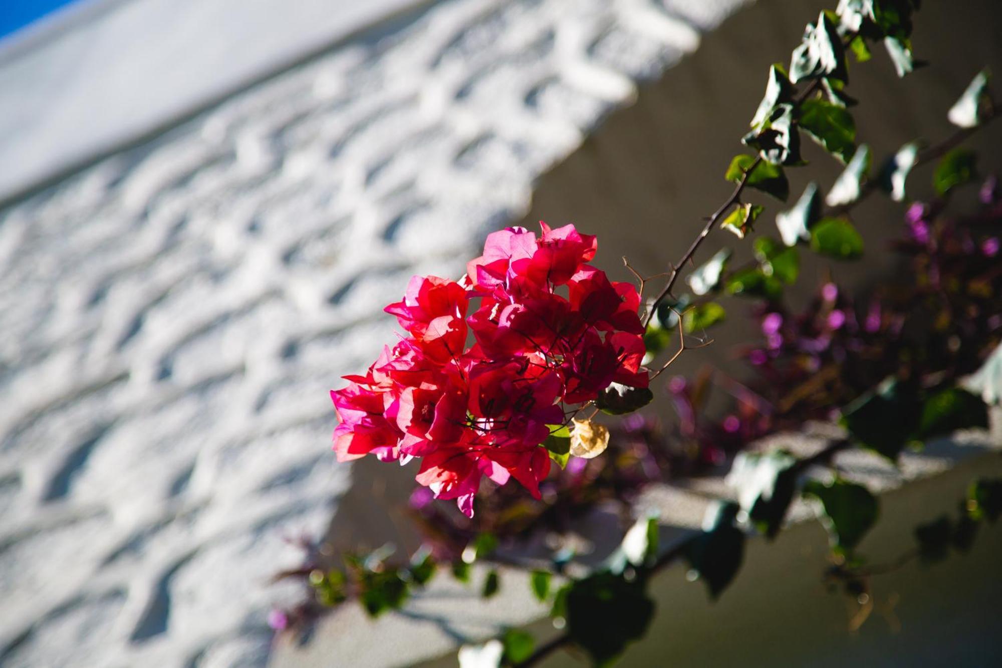 Hotel Karia Princess Bodrum Exterior foto