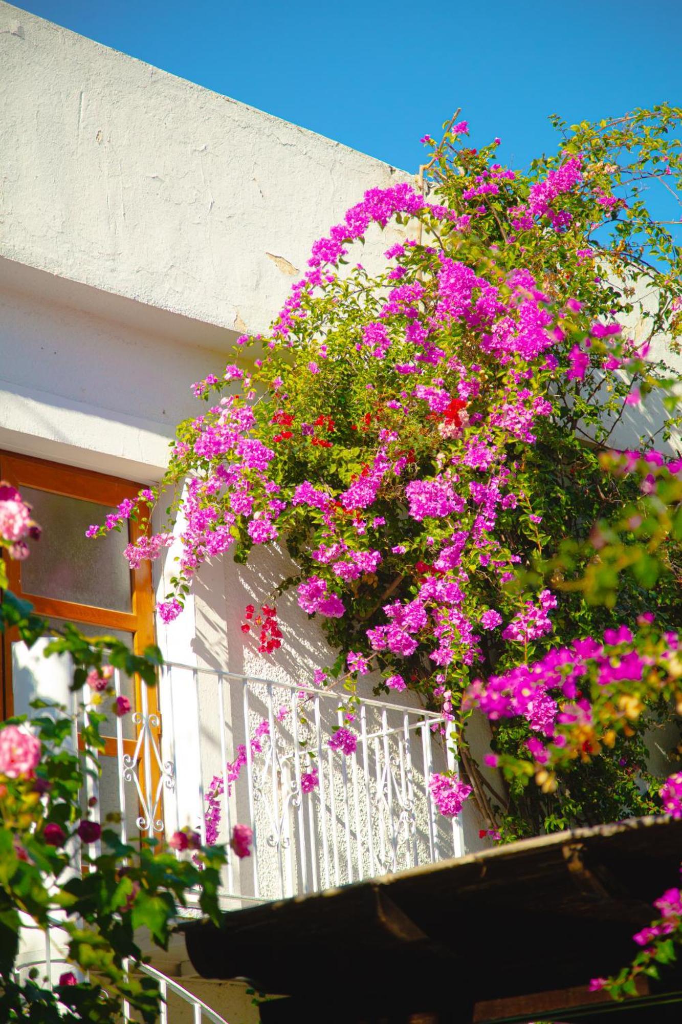 Hotel Karia Princess Bodrum Exterior foto